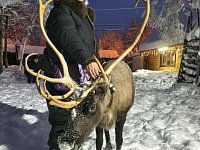 Кто на юг, а кто на север: год запомнился путешествиями