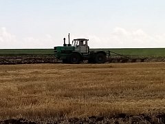Темпу уборочных работ мешают дожди
