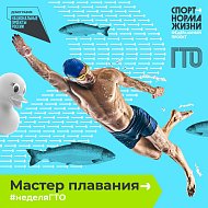 7 декабря стартовала Всероссийская акция «Неделя ГТО»