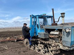В поле появились «первые ласточки» 