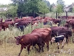 В  преддверии уборочных работ