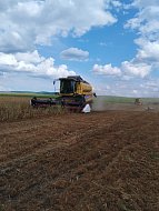 Убирая урожай нынешний, думают об урожае будущем