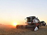 Об итогах уборки урожая 2025 года