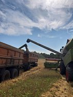  В условиях жатвы не допускать ни минуты простоя