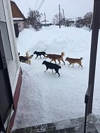 Наши дети не должны быть жертвами  бездействия взрослых