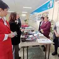 Воскресенский район посетила депутат областной Думы Юлия Литневская