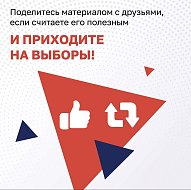 В России растет политическая конкуренция — 11 разных партий победили на региональных выборах в 2020 году