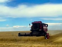 Близится к завершению уборочный период