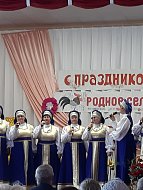 День села в Андреевке