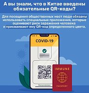 Куда можно пойти с QR - кодом в разных странах мира?