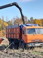 Презентация  в полевых условиях