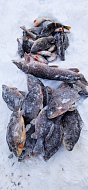 Прелести зимней рыбалки