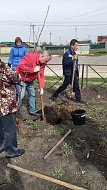 Сложные проблемы  нашей повседневной жизни