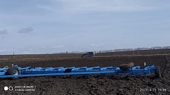 В поле появились «первые ласточки» 