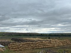 КФХ Воскресенского района  богаты семейными династиями	