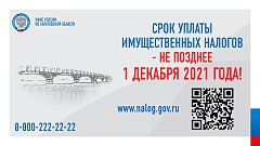 «Платим налоги в срок!