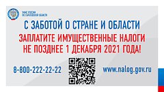 «Платим налоги в срок!