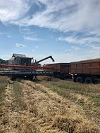  В условиях жатвы не допускать ни минуты простоя