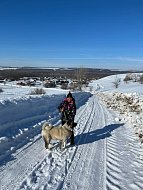 В копилку добрых дел