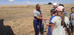Работники СДК с. Булгаковка в период уборочной компании провели познавательную экскурсию для детей.