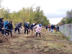Инициатива нового главы Воскресенского МО активно поддержана населением