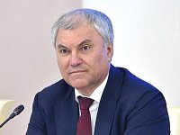 Госдума предложила Правительству скорректировать свое постановление