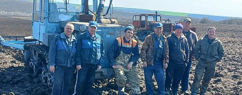 Аграрии района ведут   покровное боронование