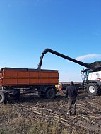 Презентация  в полевых условиях