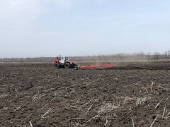 На этой недели аграрии активно приступили к покровному боронованию. 