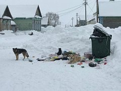 Наши дети не должны быть жертвами  бездействия взрослых