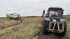 Затянувшиеся полевые работы, наконец, завершены!