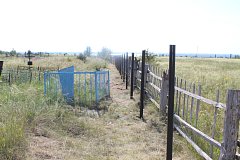 С надеждой на лучшее!