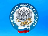 Управление информирует о поступлении налогов и сборов, администрируемых ФНС России, за первое полугодие 2025 года