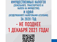 «Платим налоги в срок!