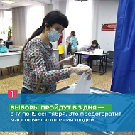 Голосование в 3 дня, средства защиты и измерение температуры
