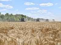 Наши кормильцы продолжают собирать урожай