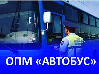 В целях снижения уровня аварийности на пассажирском автомобильном транспорте