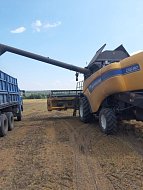 Эта культура пользуется спросом