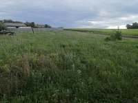 Администрация Воскресенского муниципального района Саратовской области проводит торги по продаже земельных участков в Елшанском МО