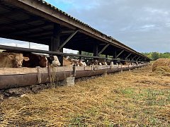 КФХ Воскресенского района  богаты семейными династиями	