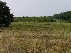 В  преддверии уборочных работ