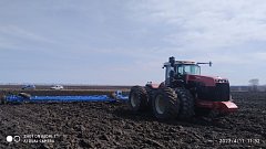 В поле появились «первые ласточки» 