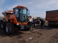 В поле появились «первые ласточки»