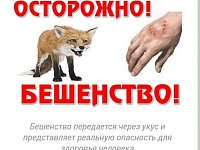 Неблагополучная ситуация по бешенству в 8 районах