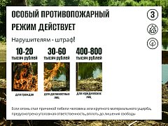  В регионе действует особый противопожарный режим