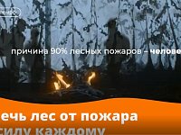 Осторожно, огонь! Жителям региона напомнили о рисках возникновения лесных пожаров