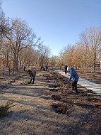 В районе  прошел  масштабный  субботник