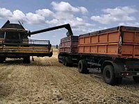 В Саратовской области наращиваются темпы уборочной кампании