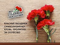 Саратовская область присоединится к акции  «Красная гвоздика»