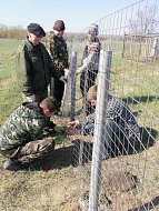 В Синодском МО продолжается работа по благоустройству кладбищ